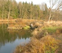 foto/fotoalba/02770/573/x-chytej.cz-02770-00003846.jpg