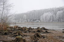 foto/fotoalba/02979/1656/x-chytej.cz-02979-59846.jpg