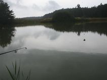foto/fotoalba/03140/1418/x-chytej.cz-03140-00011007.jpg