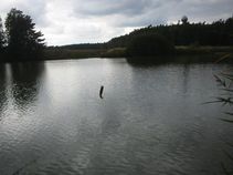 foto/fotoalba/03140/1418/x-chytej.cz-03140-00011028.jpg