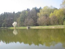 foto/fotoalba/03140/1897/x-chytej.cz-03140-00014862.jpg