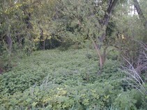 foto/fotoalba/03140/1898/x-chytej.cz-03140-00014903.jpg