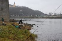 foto/fotoalba/03315/1581/x-chytej.cz-03315-00012629.jpg