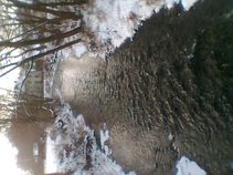foto/fotoalba/03676/1723/x-chytej.cz-03676-00013593.jpg