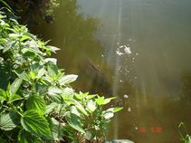 foto/fotoalba/03780/891/x-chytej.cz-03780-00006574.jpg