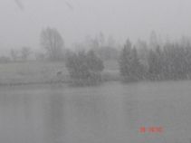 foto/fotoalba/03780/891/x-chytej.cz-03780-00006578.jpg