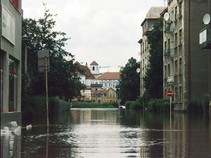 foto/fotoalba/03861/1786/x-chytej.cz-03861-00014585.jpg