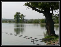 foto/fotoalba/04082/963/x-chytej.cz-04082-00007302.jpg