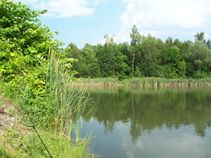 foto/fotoalba/04082/963/x-chytej.cz-04082-00009306.jpg