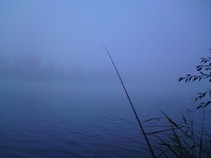 foto/fotoalba/04482/2492/x-chytej.cz-04482-00018989.jpg