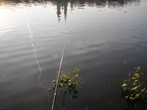 foto/fotoalba/04650/4024/x-chytej.cz-04650-00030469.jpg