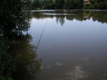 foto/fotoalba/04650/4024/x-chytej.cz-04650-00030472.jpg