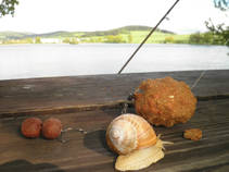foto/fotoalba/04752/6593/x-chytej.cz-04752-53148.jpg