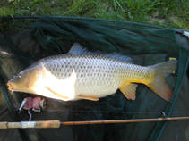 foto/fotoalba/04752/6593/x-chytej.cz-04752-53153.jpg