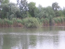 foto/fotoalba/04759/2976/chytej.cz-04759-00022708.jpg