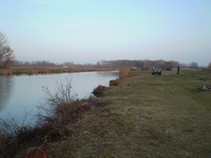 foto/fotoalba/04759/2976/x-chytej.cz-04759-00022712.jpg