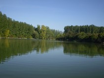 foto/fotoalba/04759/2986/chytej.cz-04759-00022741.jpg