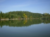 foto/fotoalba/04759/2986/x-chytej.cz-04759-00022742.jpg