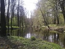 foto/fotoalba/04815/4589/x-chytej.cz-04815-00035272.jpg
