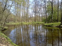 foto/fotoalba/04815/4589/x-chytej.cz-04815-00035274.jpg
