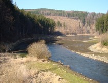 foto/fotoalba/04882/1297/x-chytej.cz-04882-00015964.jpg