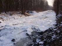 foto/fotoalba/04983/4453/x-chytej.cz-04983-00033997.jpg