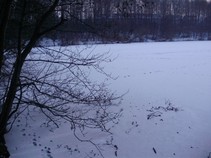 foto/fotoalba/04983/4454/x-chytej.cz-04983-00034020.jpg