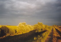 foto/fotoalba/07389/3680/chytej.cz-07389-00027872.jpg