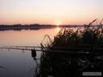 foto/fotoalba/07389/3680/x-chytej.cz-07389-00027881.jpg