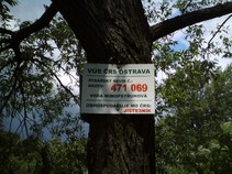 foto/fotoalba/07573/5221/x-chytej.cz-07573-00041755.jpg