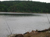 foto/fotoalba/07608/2571/x-chytej.cz-07608-00019748.jpg