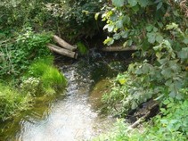 foto/fotoalba/07650/2917/x-chytej.cz-07650-00022301.jpg