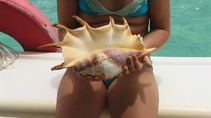 foto/fotoalba/07675/3381/x-chytej.cz-07675-00025742.jpg