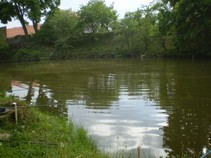 foto/fotoalba/07728/2690/chytej.cz-07728-00020588.jpg
