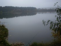 foto/fotoalba/07728/2700/chytej.cz-07728-00020666.jpg