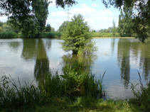 foto/fotoalba/07924/4843/x-chytej.cz-07924-56971.jpg