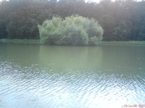 foto/fotoalba/08006/4698/x-chytej.cz-08006-00036111.jpg