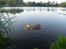foto/fotoalba/09365/4724/x-chytej.cz-09365-00036721.jpg