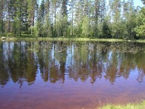 foto/fotoalba/09493/3819/x-chytej.cz-09493-00028921.jpg