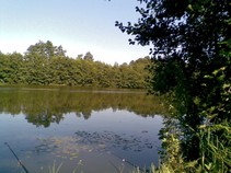 foto/fotoalba/09869/3908/x-chytej.cz-09869-00029821.jpg