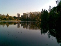 foto/fotoalba/09869/3955/x-chytej.cz-09869-00029927.jpg