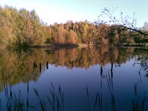 foto/fotoalba/09869/3955/x-chytej.cz-09869-00029931.jpg