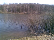 foto/fotoalba/09869/4547/x-chytej.cz-09869-00034923.jpg