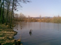foto/fotoalba/09869/4547/x-chytej.cz-09869-00034928.jpg