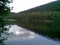 foto/fotoalba/09869/4829/x-chytej.cz-09869-00037678.jpg