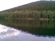 foto/fotoalba/09869/4829/x-chytej.cz-09869-00037680.jpg