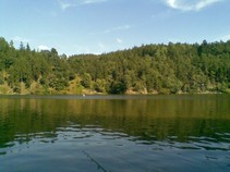 foto/fotoalba/09869/4907/x-chytej.cz-09869-00038585.jpg