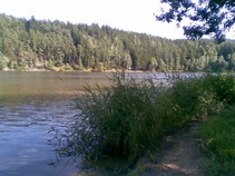 foto/fotoalba/09869/4907/x-chytej.cz-09869-00038587.jpg