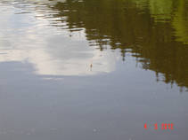 foto/fotoalba/09869/6244/x-chytej.cz-09869-48953.jpg