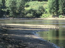 foto/fotoalba/09869/7267/x-chytej.cz-09869-60559.jpg